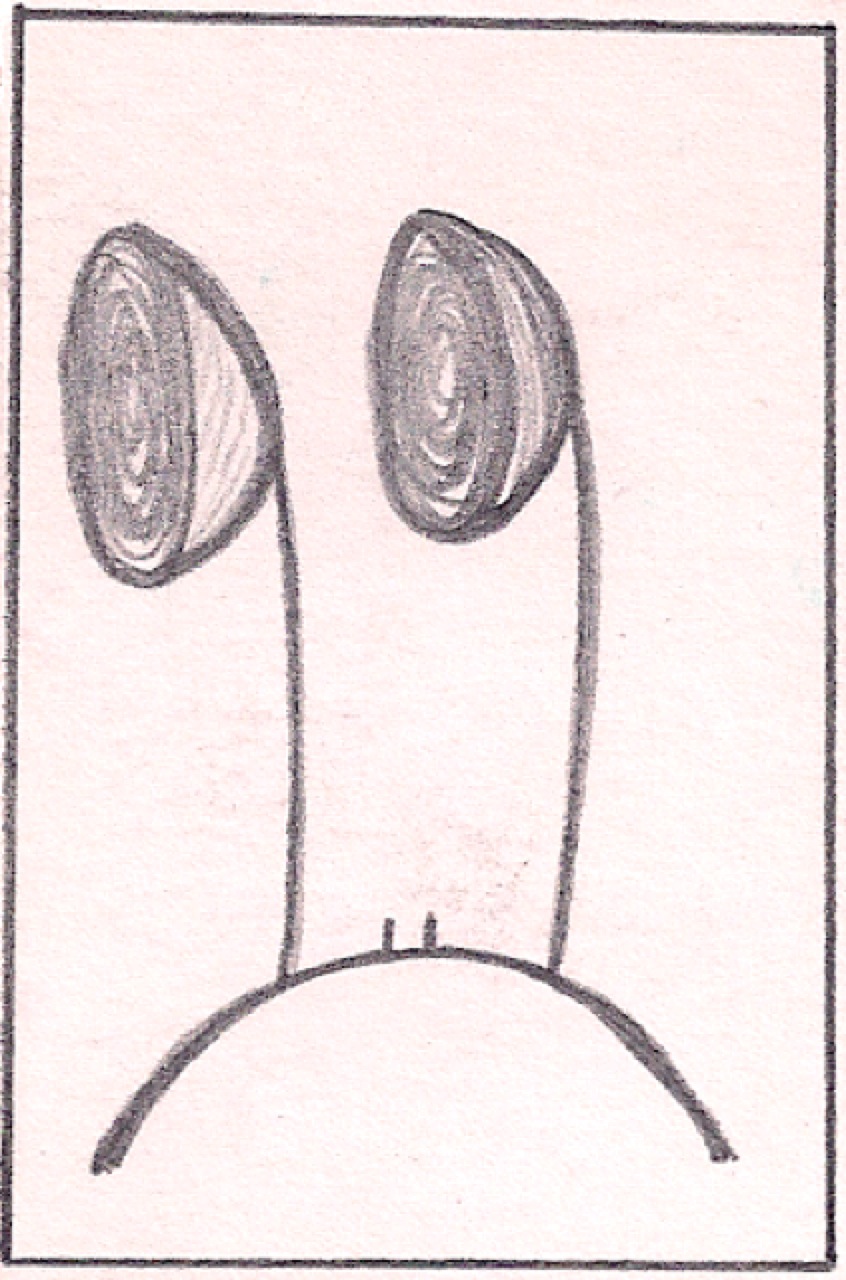 Loading Image